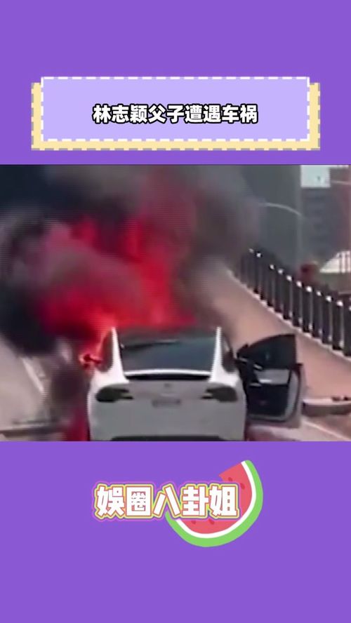 林志颖父子遭遇车祸 满脸血经纪人都认不出,车辆直接被撞报废