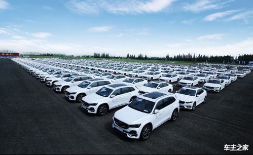 银河l7 领克09护航奔 甬 向前 吉利淦家阅担当第100棒亚运火炬手