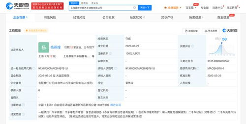 比亚迪在上海成立汽车销售新公司